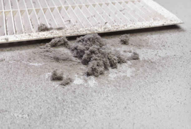 Best Emergency Air Duct Cleaning  in Sand Point, AK