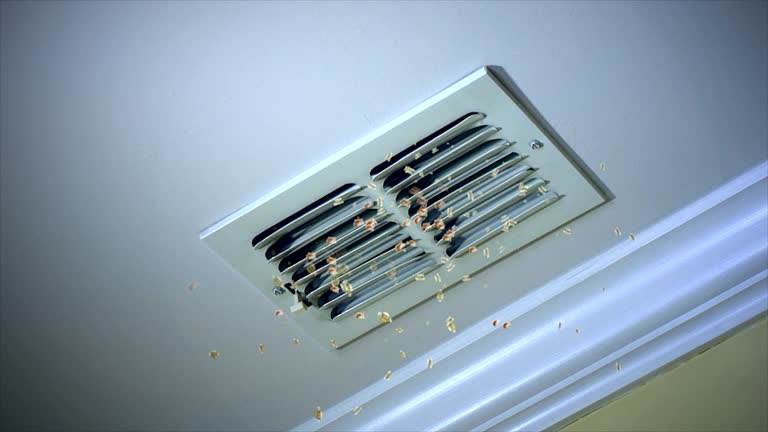 Emergency Air Duct Cleaning in AK