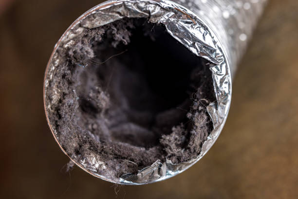 Best HVAC Maintenance and Cleaning  in Sand Point, AK