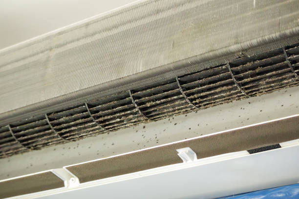 Best Residential Air Duct Cleaning  in Sand Point, AK